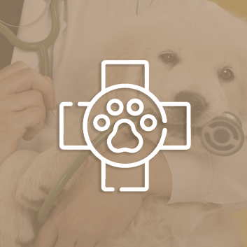 VETERINARI3A